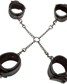 CALEXOTICS – EUPHORIA HOG TIE