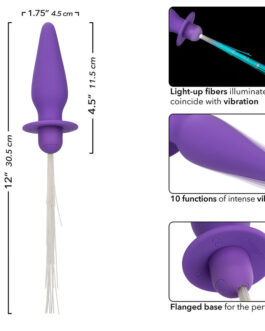 CALEXOTICS – SOUTHERN LIGHTS LIGHT UP PLUG ANALE 10 VIBRAZIONI SILICONE VIOLA