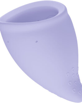 FUN FACTORY – COPPA MESTRUALE FUN TAGLIA A VIOLA