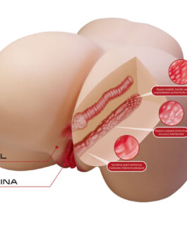 CRAZY BULL – JULIA REALISTICA FEMMINILE SEDERE VAGINA E ANALE 11 KG