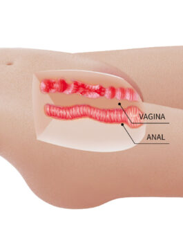 CRAZY BULL – MIA TORSO FEMMINILE REALISTICO VAGINA E ANALE 8,5 KG