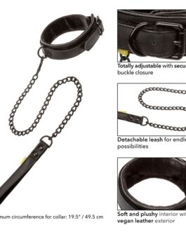CALEXOTICS – COLLARE E GUINZAGLIO BOUNDLESS