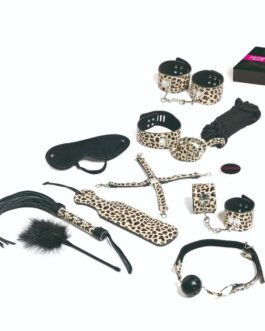 TEASE  PLEASE – SET 13 ACCESSORI BONDAGE