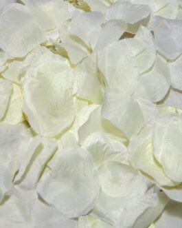 DIABLO PICANTE – 100 PETALI DI VANIGLIA
