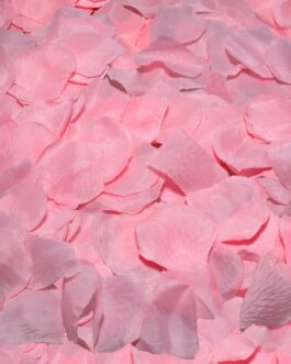 DIABLO PICANTE – 100 PETALI ROSA