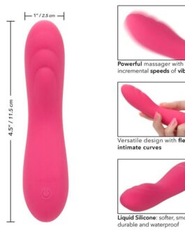 CALEXOTICS – PIXIES RIPPLE ROSA