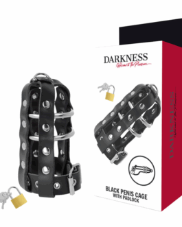 DARKNESS - GABBIA DI CASTIT IN PELLE CON SERRATURA
