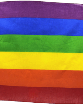 PRIDE – SCIARPA LGBT 50 X 50