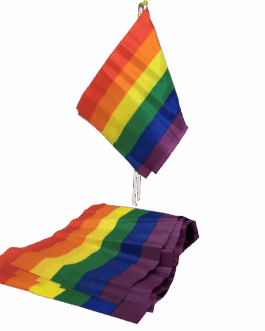 PRIDE – BANDIERA PICCOLA BANDIERA LGBT