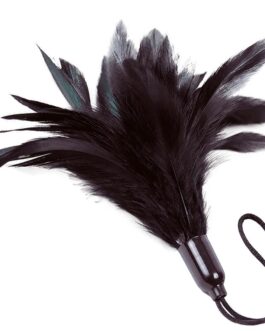 ADRIEN LASTIC – SPOLVERINO NERO PRESTIGE