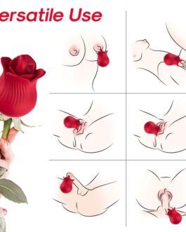 ARMONY – VIBRATORE E STIMOLATORE ROSA ROSSO