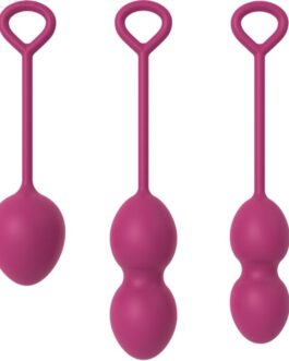 ARMONY – ANABIOSIS MANUBRI VAGINALI 3 LIVELLI BORDEAUX
