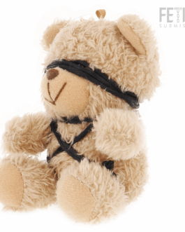 FETISH SUBMISSIVE - WINNIE TEDDY BEAR MODELLO BDSM 6