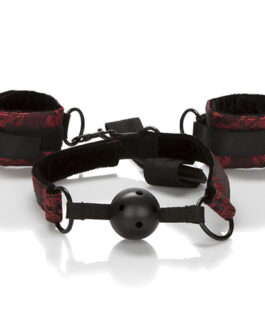 CALEXOTICS - SCANDAL BALL GAG TRASPIRANTE CON MANETTE