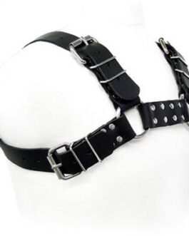 LEATHER BODY – IMBRACATURA PER BULL DOG NERA