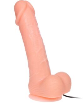BAILE - DILDO DONG REALISTICO VIBRAZIONE E ROTAZIONE 20 CM