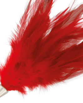 DARKNESS – PENNA STIMOLANTE ROSSA 17CM