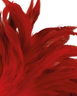 DARKNESS – PENNA STIMOLANTE ROSSA 24CM