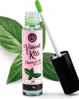 SECRETPLAY – LUCIDA LABBRA VIBRANT KISS MENTA